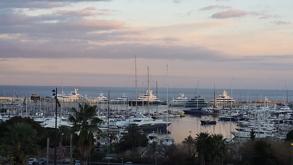 

Roma - Antibes - Juan Les Pins - Hôtel Le Collier