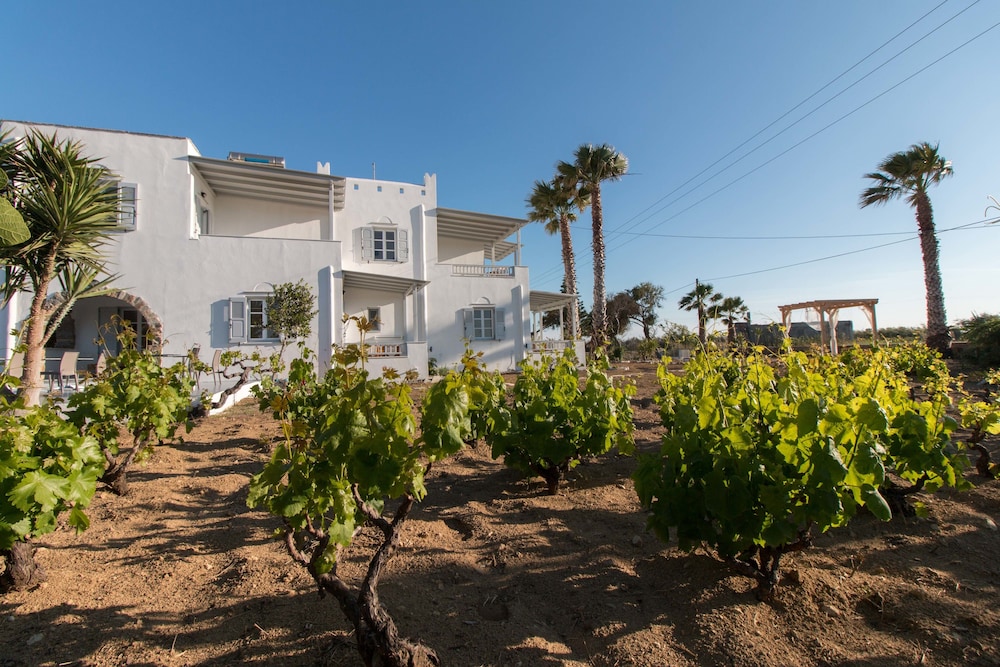 

Milano - Città di Naxos - Ktima Bianco