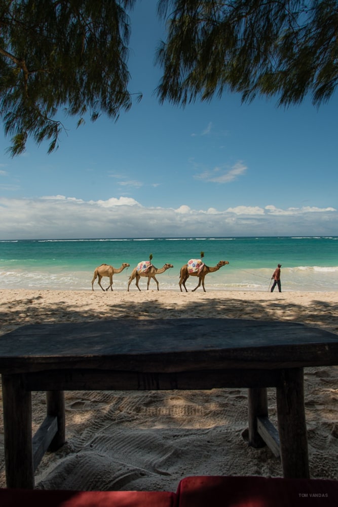 

Verona - Ukunda - Bahari Dhow Beach Villas