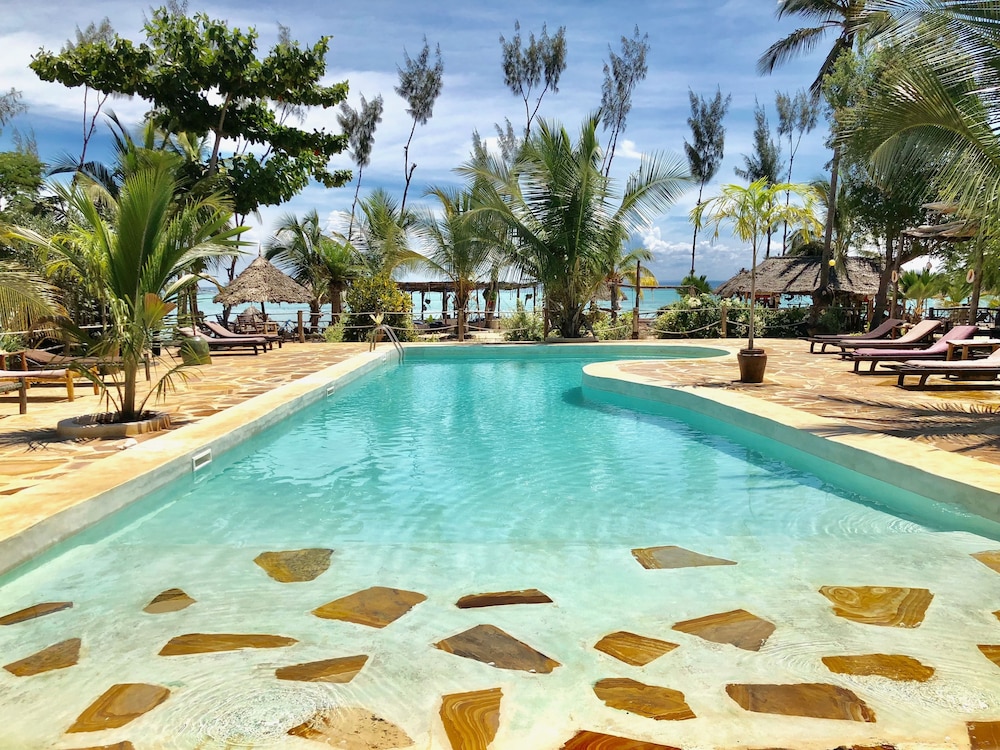 

Bologna - Kizimkazi - Promised Land Lodge