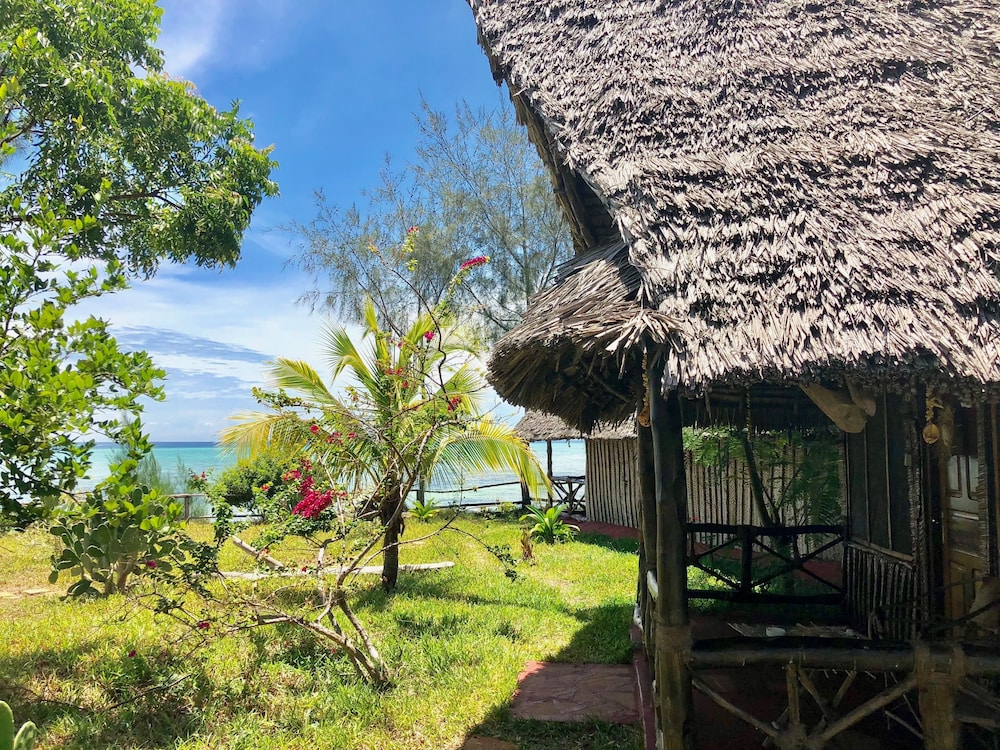 

Bologna - Kizimkazi - Promised Land Lodge