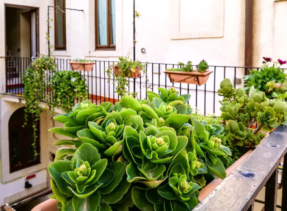 

Verona - Siracusa - Hotel Casa Mia