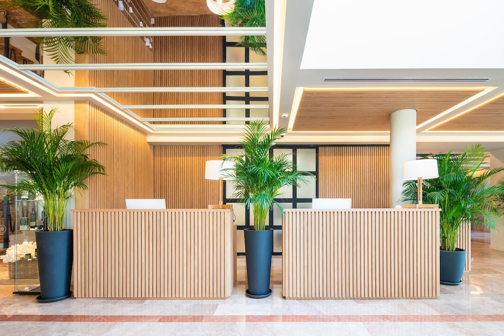 

Roma - Sóller - Hotel Eden Soller