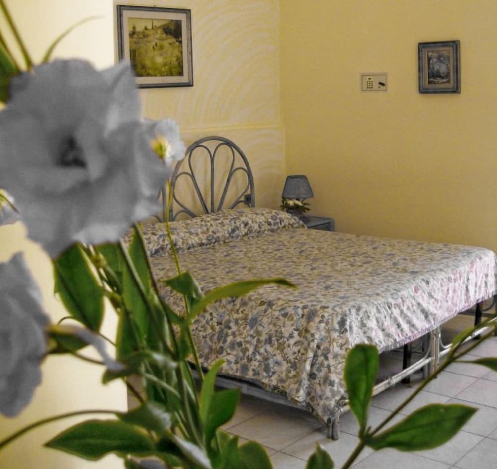 

Bologna - Ischia - Hotel Il Nespolo