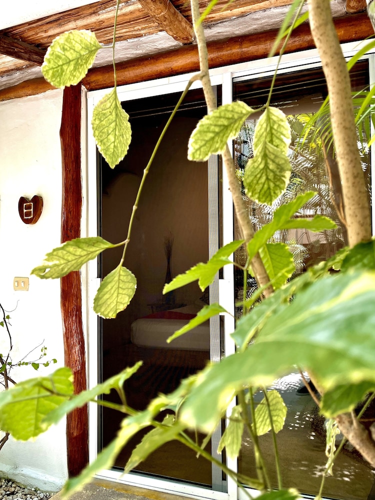 

Verona - Tulum - Pacha Tulum