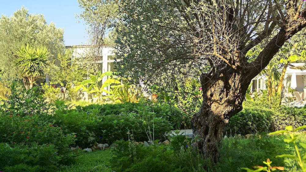 

Pisa - Haraki - Saint George Resort