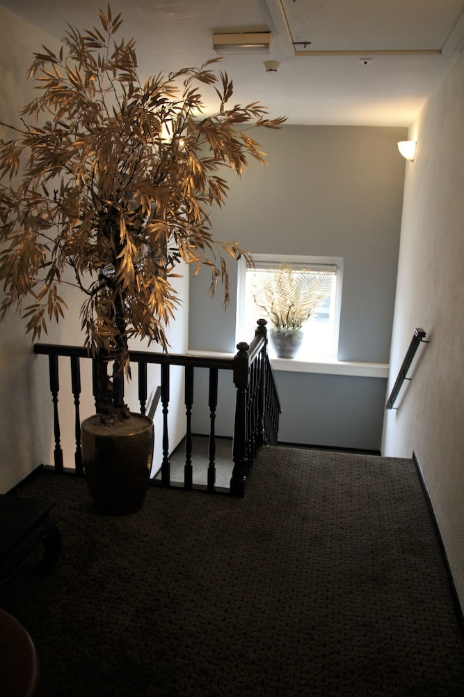 

Firenze - Hoofddorp - Hotel Restaurant de Jonge Heertjes