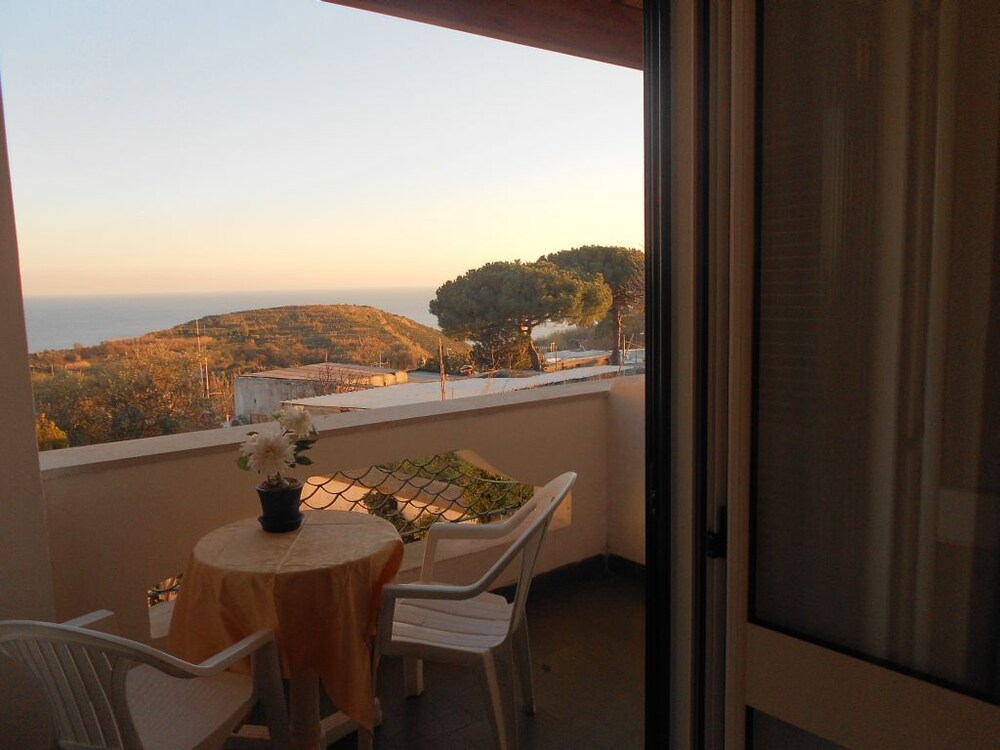 

Milano - Sant'Angelo D'Ischia - Hotel Al Bosco
