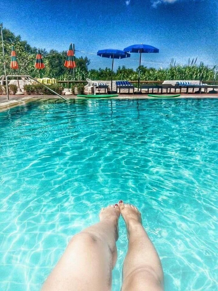 

Bologna - Ischia - Hotel Al Bosco