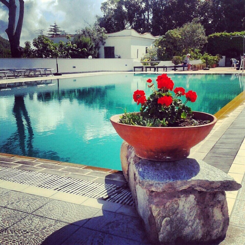 

Verona - Ischia - Hotel Al Bosco