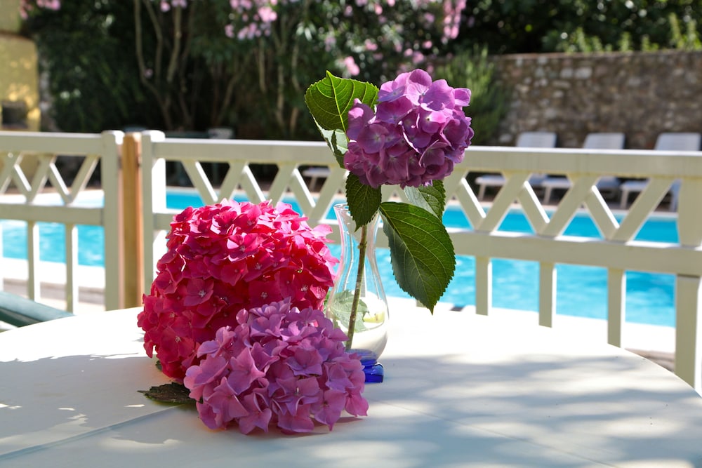 

Lamezia Terme - Toscolano Maderno - Hotel San Filis