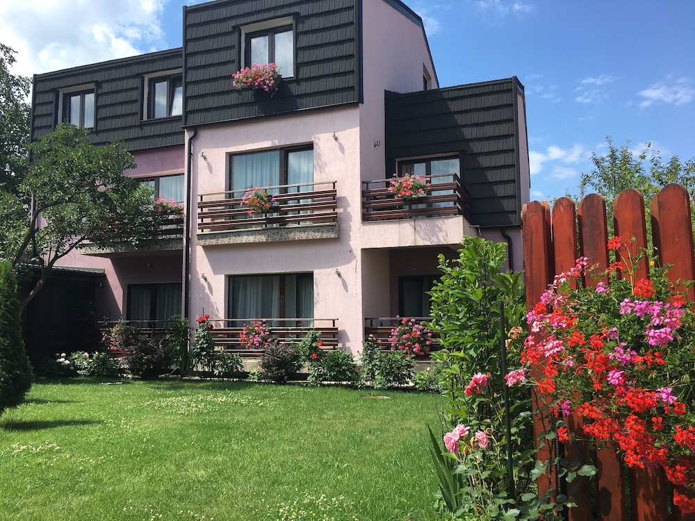 

Roma - Braşov - Andy Brasov