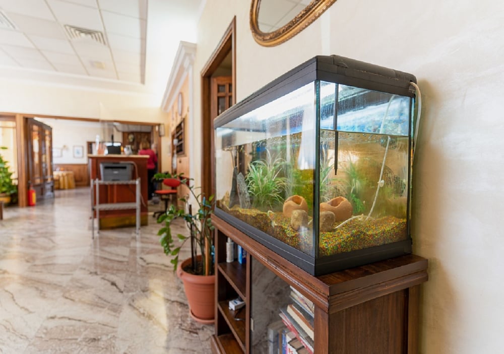 

Milano - Oristano - Hotel Villa Delle Rose