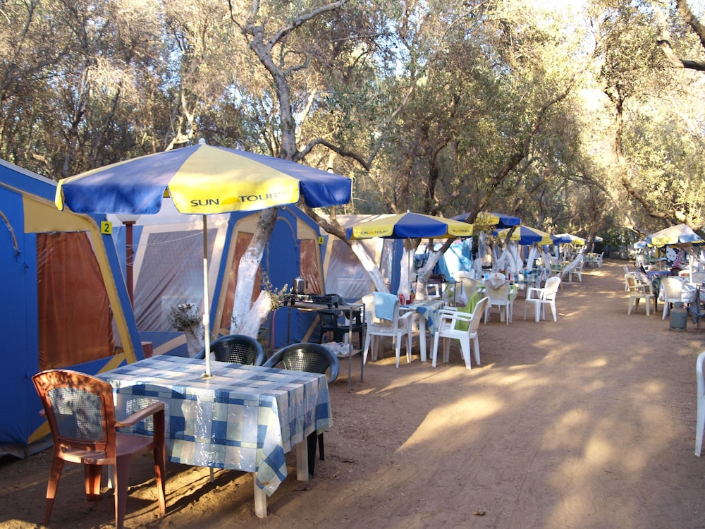 

Bologna - Platanias (Crete) - Camping Chania