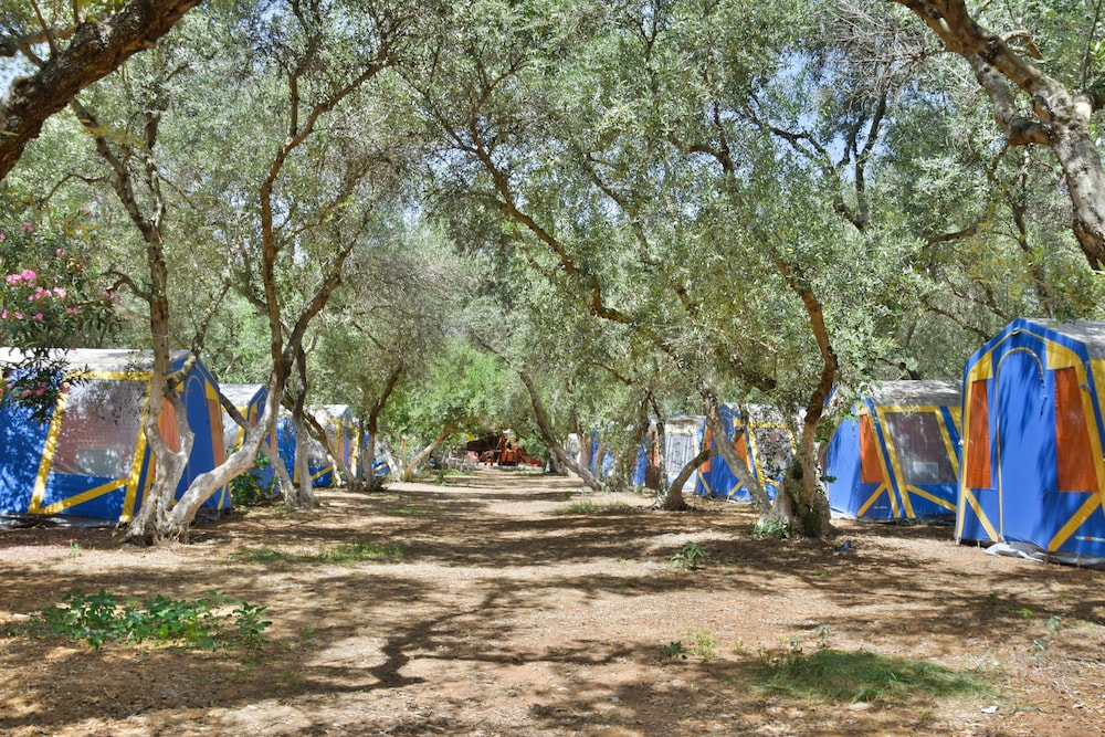 

Torino - Chania - Camping Chania