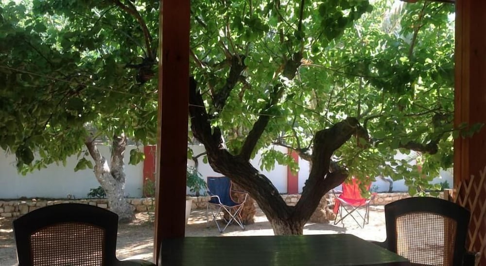 

Roma - Sitia - Petras Beach