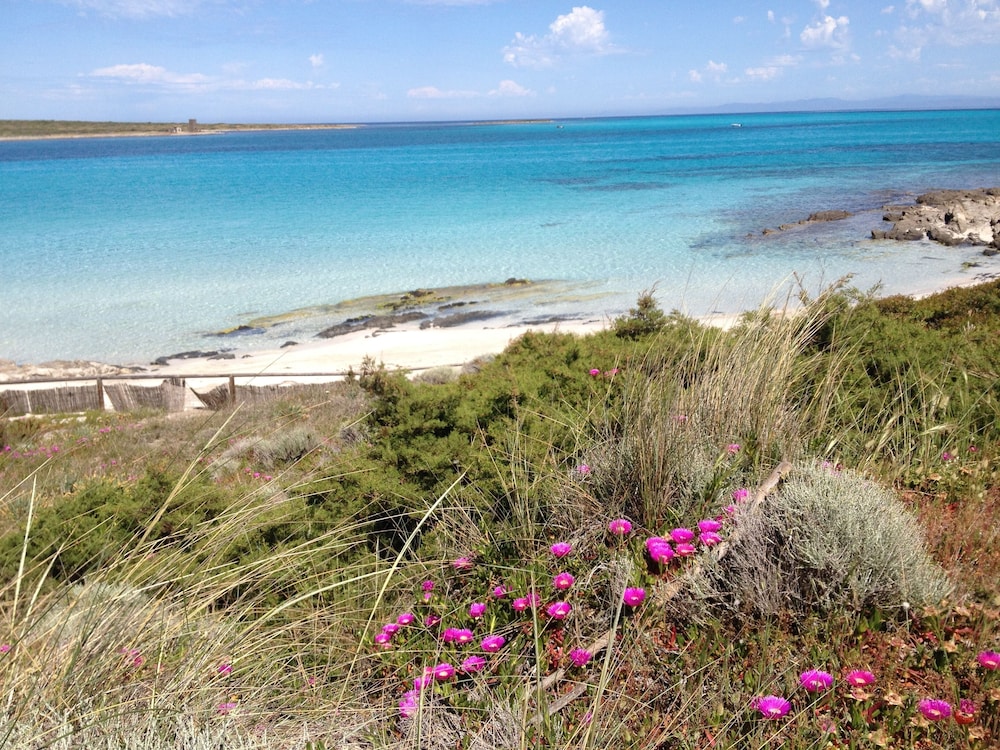 

Brindisi - Stintino - Cala Rosa Club Hotel