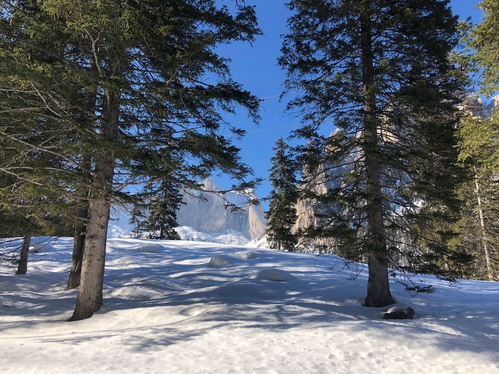 

Roma - Canazei - Alpine Touring Hotel-petfriendly