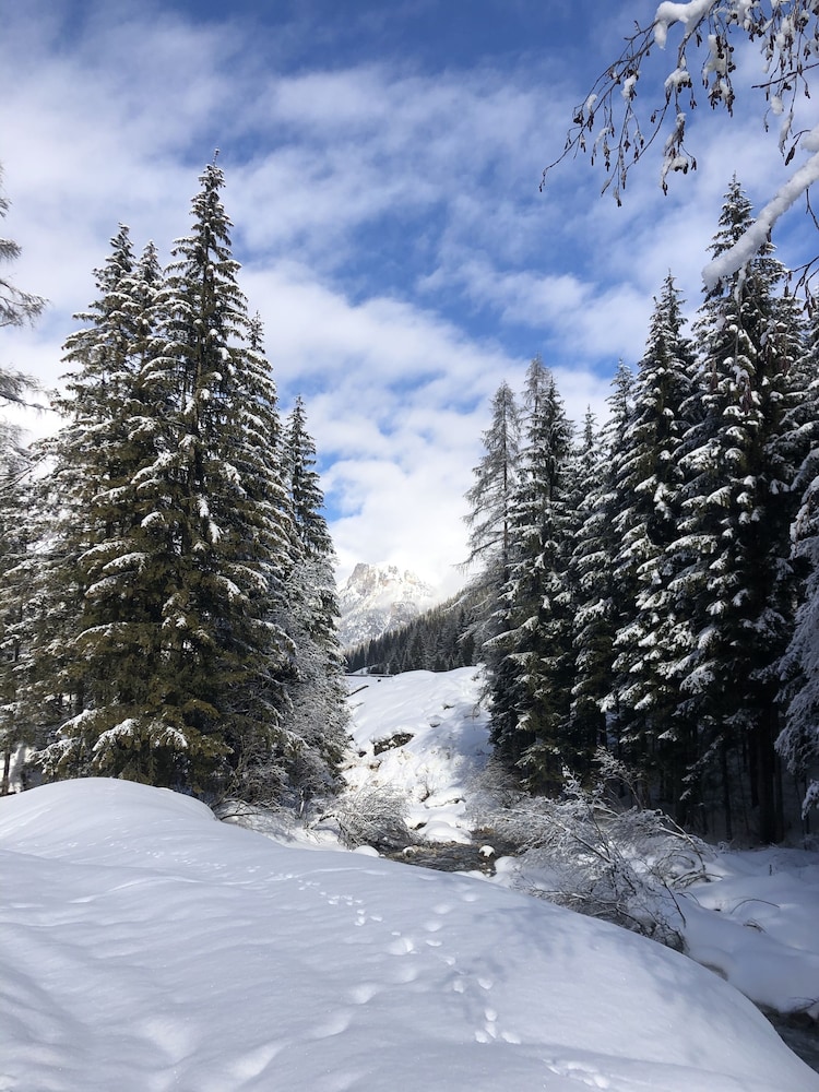 

Torino - Moena - Alpine Touring Hotel-petfriendly
