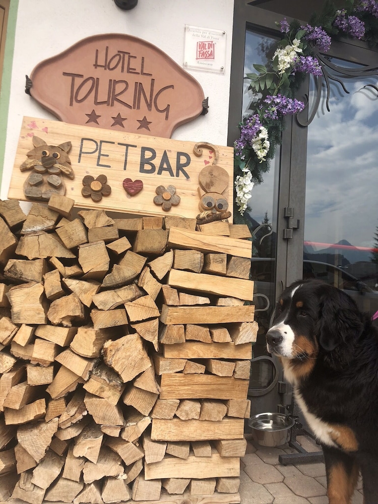 

Cagliari - Campestrin - Alpine Touring Hotel-petfriendly