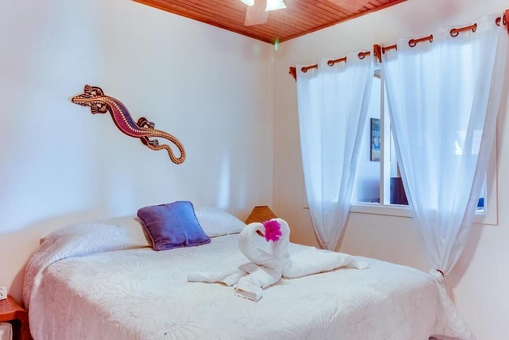 

Milano - Cabo Velas - Flamingo Marina Resort