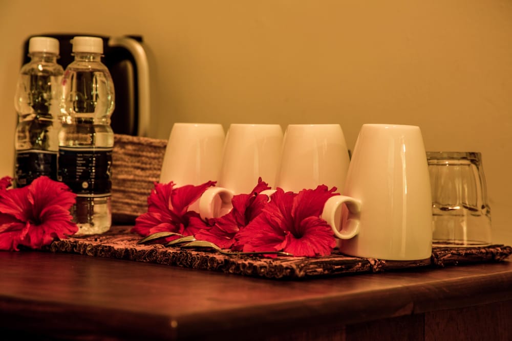 

Verona - Pongwe, Zanzibar - Jaz Adonia Beach Resort