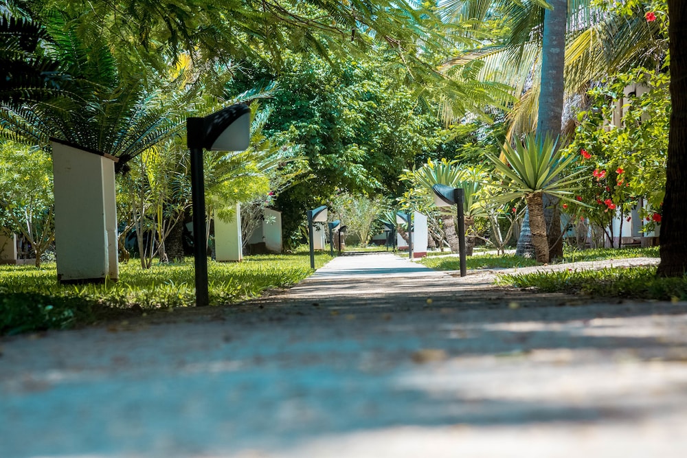 

Roma - Pongwe, Zanzibar - Jaz Adonia Beach Resort