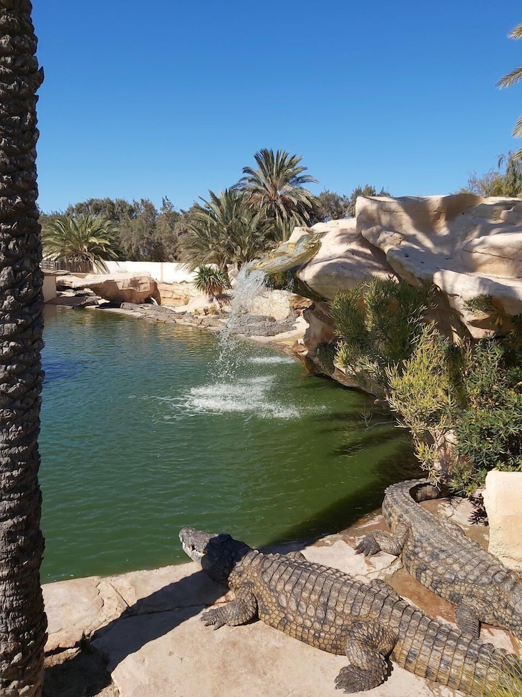 

Palermo - Houmt Souk - Hotel Mizwar Djerba
