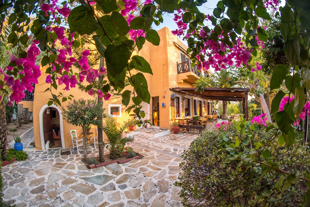 

Bologna - Agia Marina - Egina - Vagia Traditional, Aegina Island