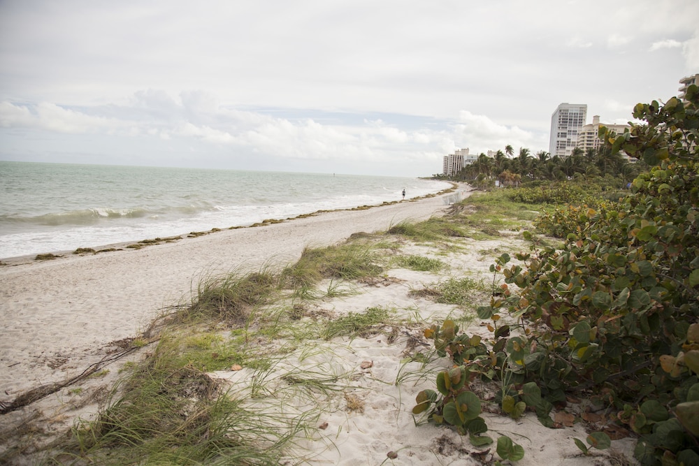 

Catania - Key Biscayne - Coral Reef at Key Biscayne