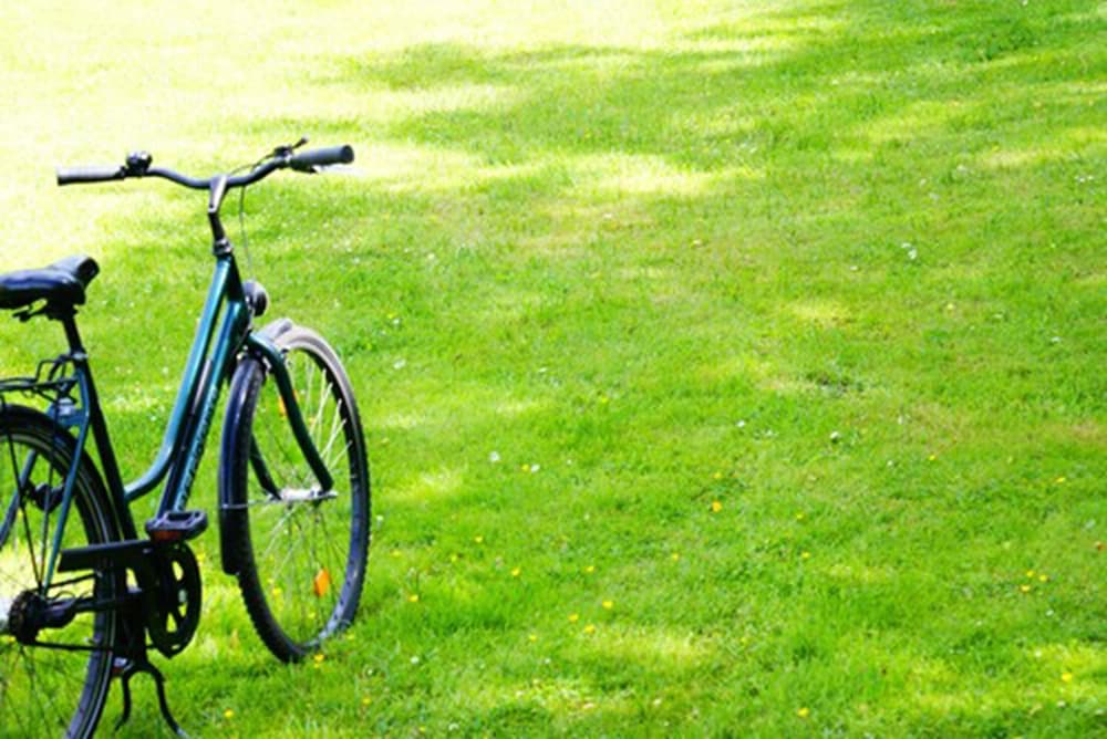 

Venezia - Dresda - Amedia Dresden Elbpromenade, Trademark Collection by Wyndham