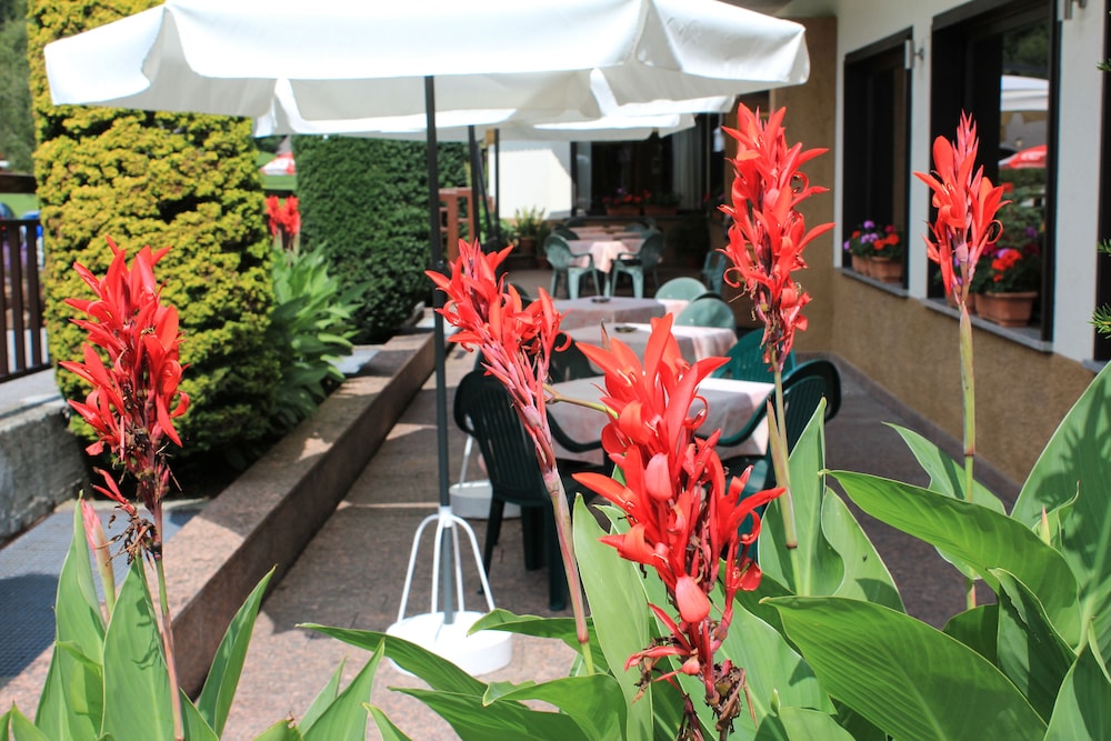 

Roma - Pinzolo - Hotel Rio