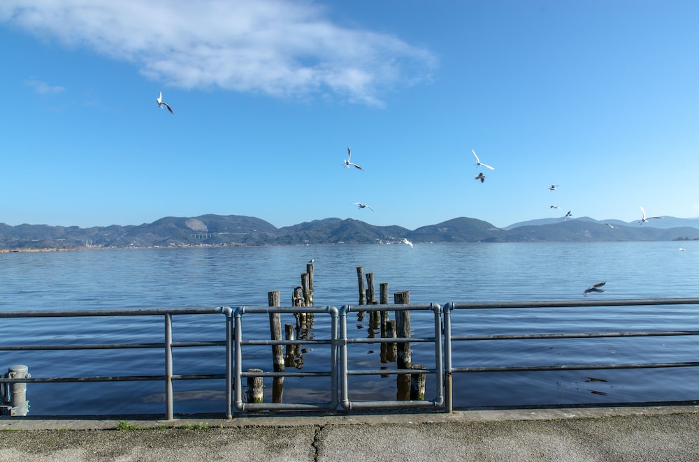 

Palermo - Versilia e Costa Toscana, Mare Italia - Hotel Butterfly