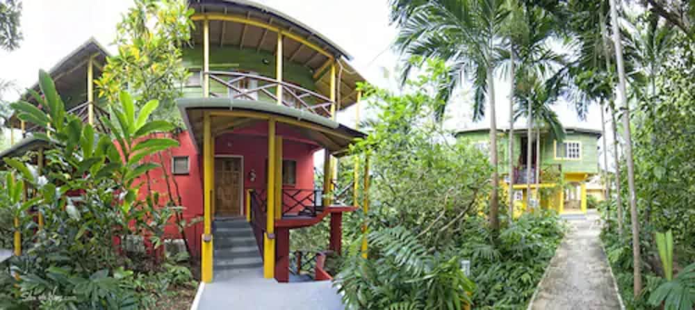 

Olbia - Port Antonio - Bay View Eco Resort & Spa