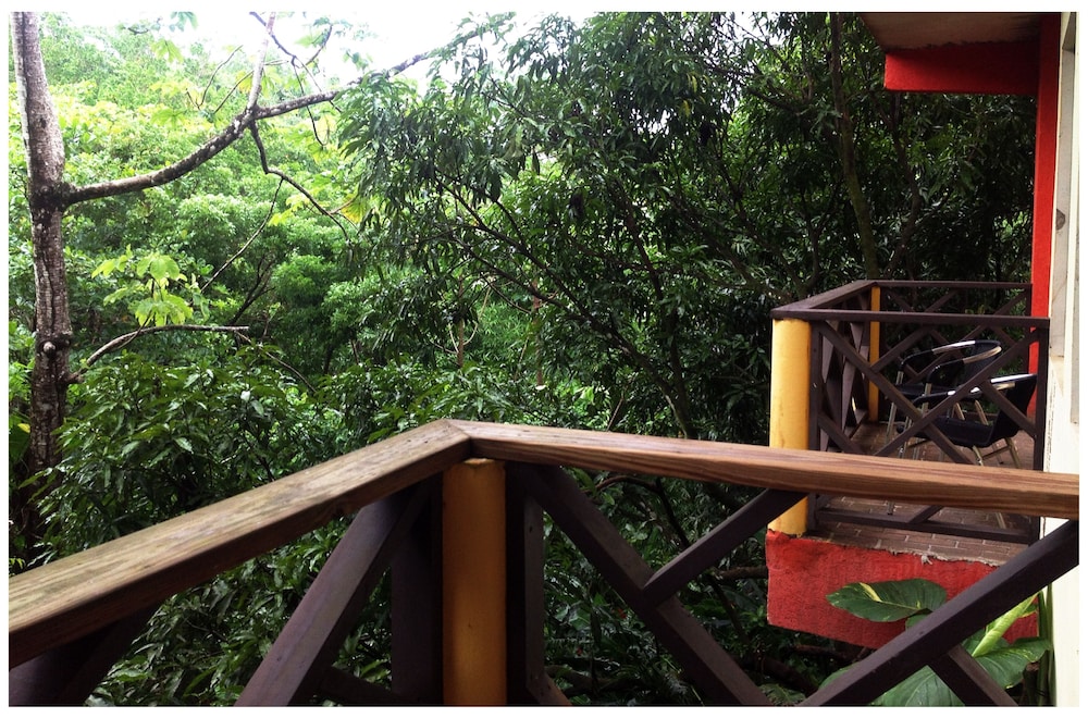 

Catania - Port Antonio - Bay View Eco Resort & Spa