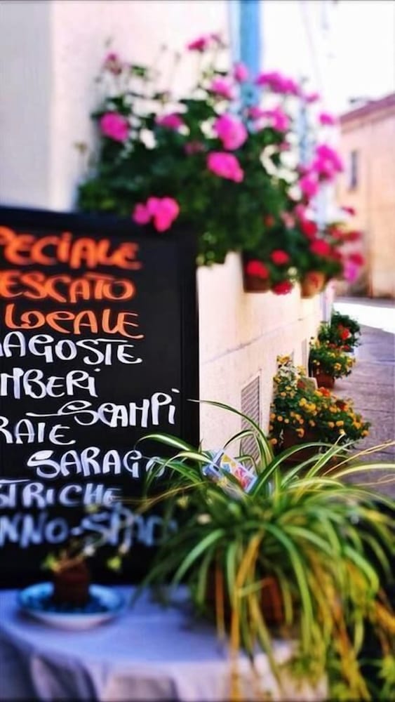 

Firenze - Cala Gonone - Hotel Su Barchile