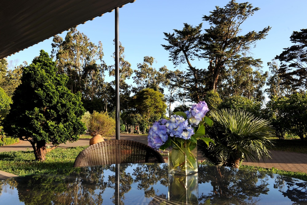 

Milano - Machico - Quinta Da Cova Do Milho