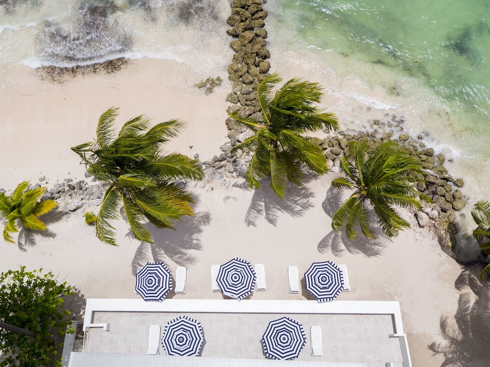 

Milano - Bridgetown - The Royal Bliss Barbados