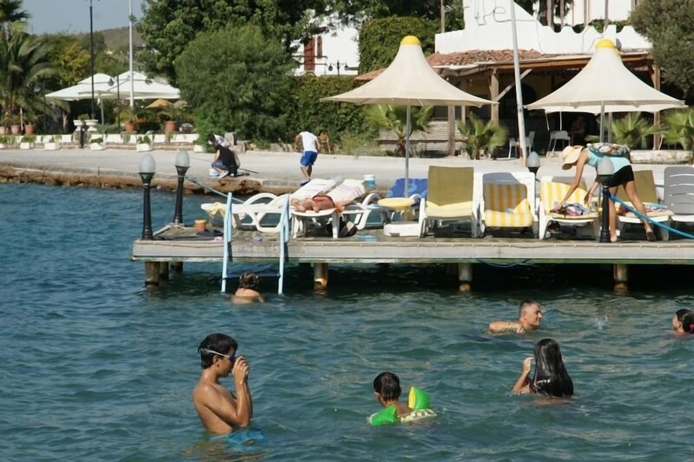 

Venezia - Güvercinlik - Club Aquarium