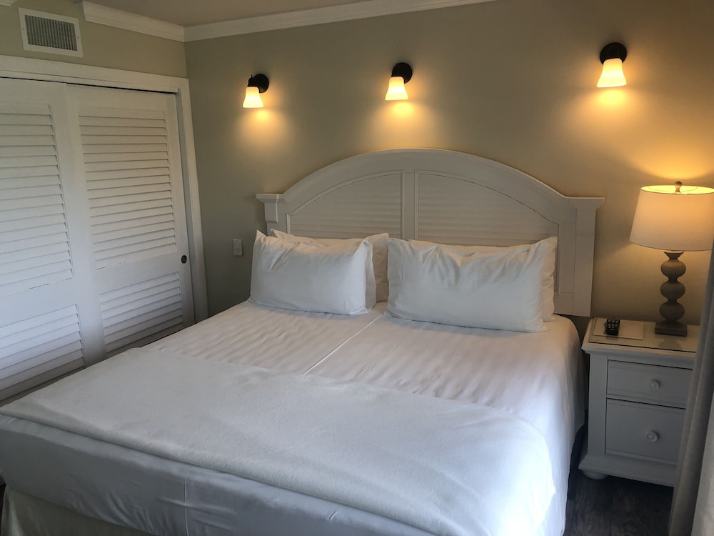 

Milano - Grand Bahama (Bahamas), Caraibi - Dolphin Cove - Adults Only