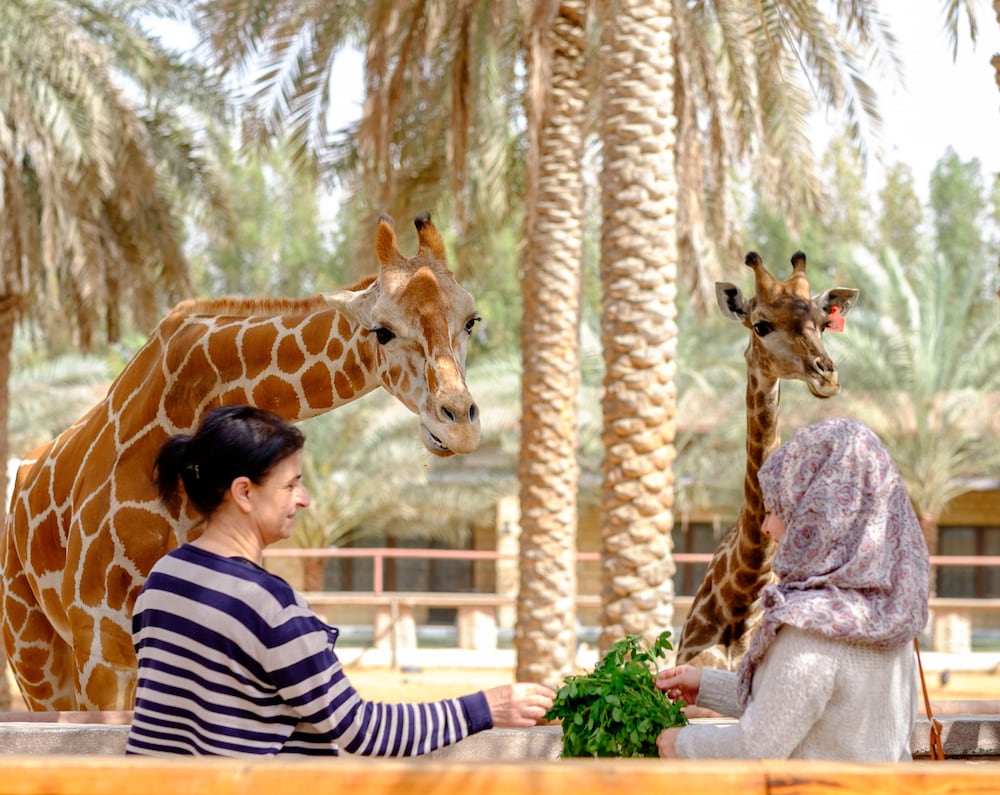

Milano - Al Shahamah - Emirates Park Resort