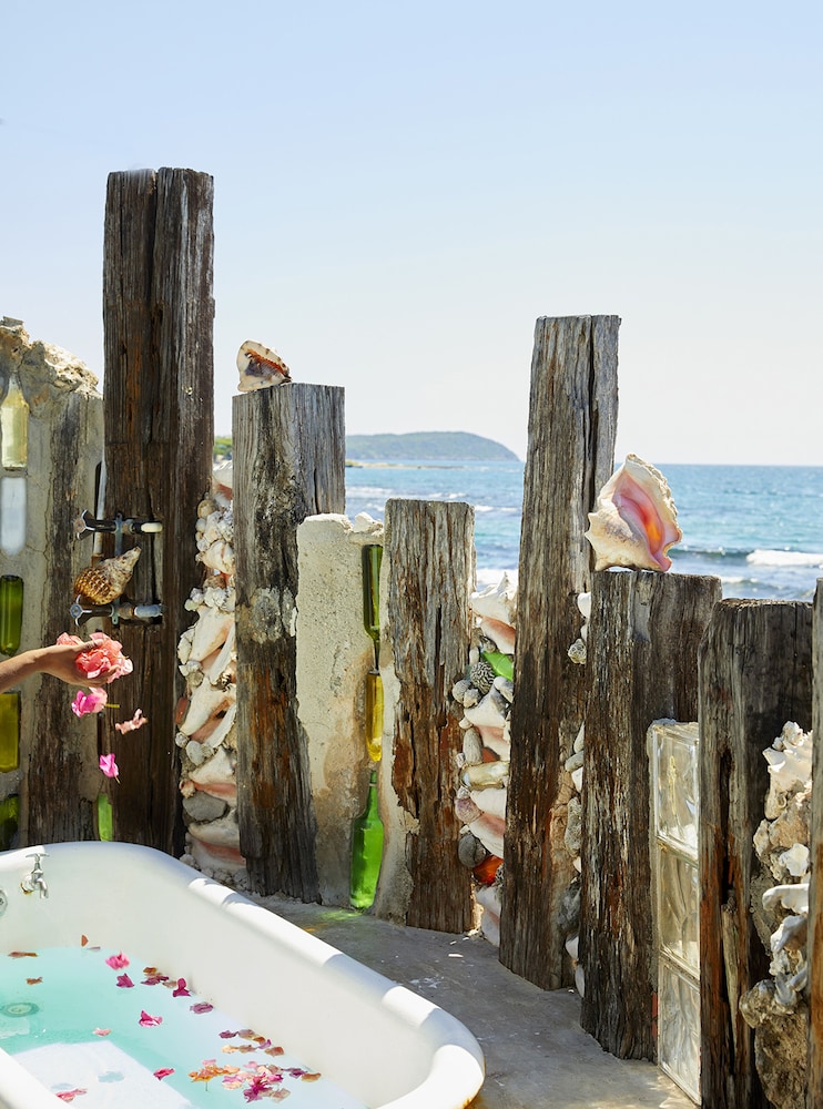 

Bologna - Treasure Beach - Jakes