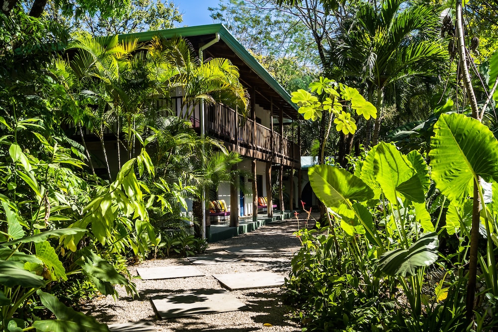 

Roma - Nosara - Sunset Shack Hotel