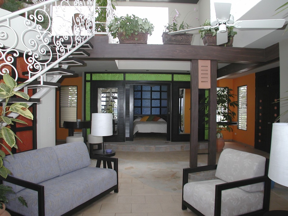 

Venezia - Cabarete - Hotel El Magnifico