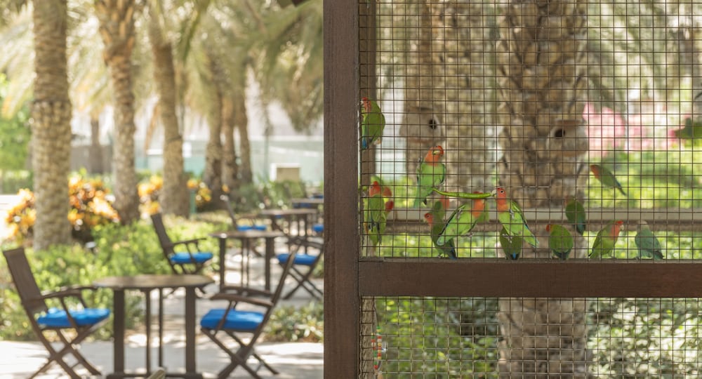 

Milano - Ajman - Coral Beach Resort Sharjah