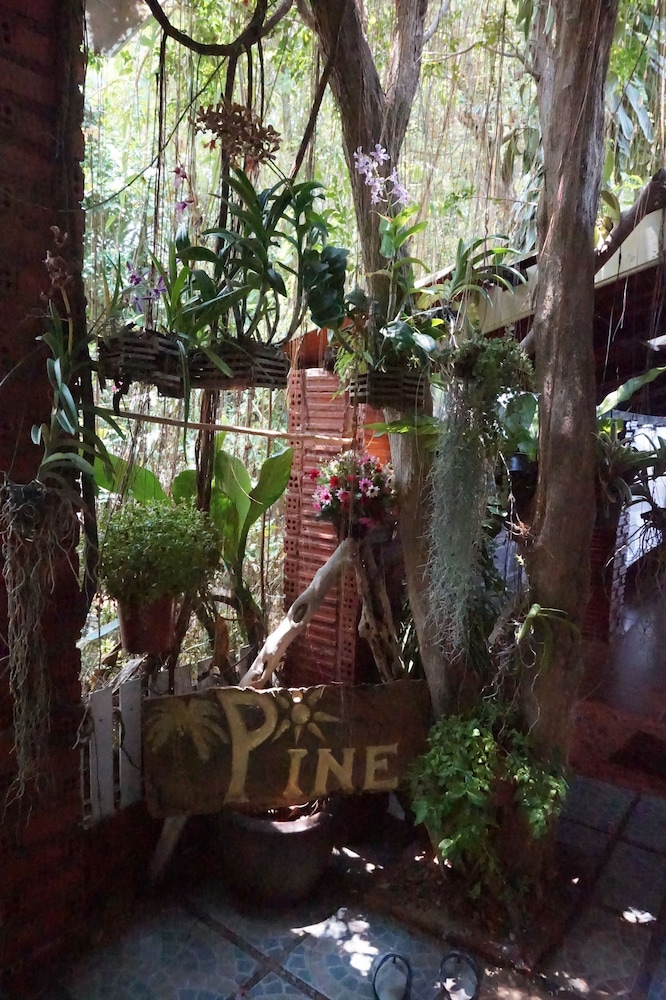 

Milano - Klong Muang Beach - Pine Bungalow