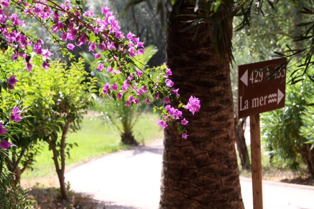 

Milano - Porto-Vecchio - Residence Castell'Verde
