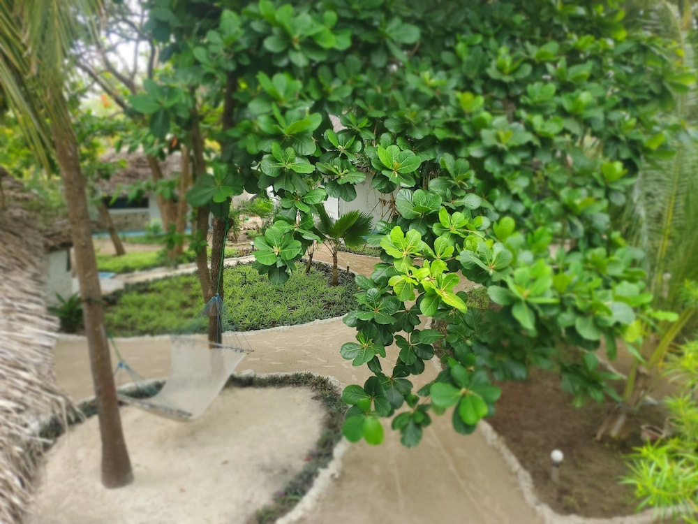 

Milano - Dongwe - Fontaine Garden Village