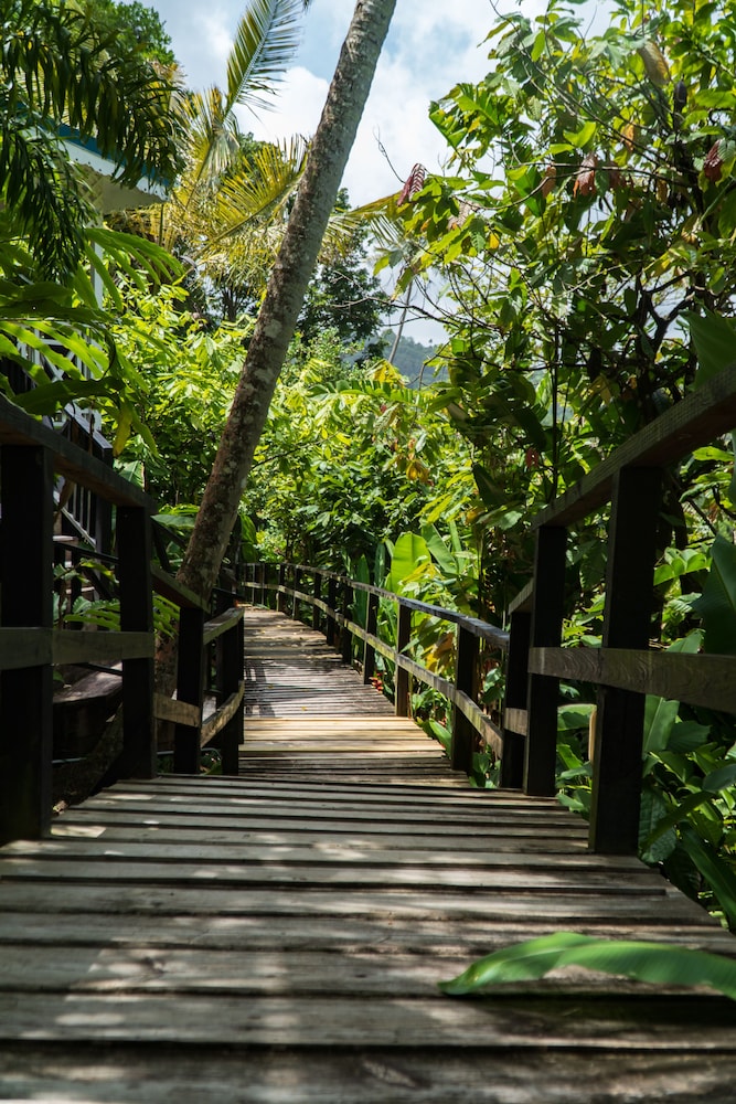 

Milano - Soufriere - Fond Doux Eco Resort