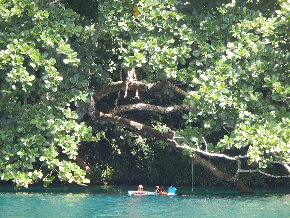 

Milano - Port Antonio - Moon San Villa at the Blue Lagoon